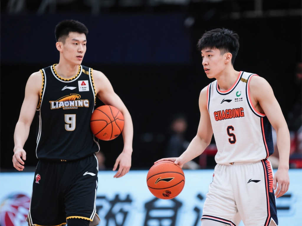 在篮球迷的 在篮球迷的